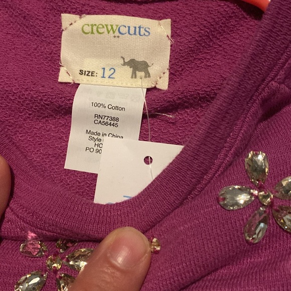 CrewCuts sweatshirts - Picture 2 of 3